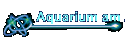 Aquarium am ZOO